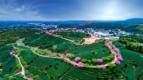 2月份國內最精美的旅行地，有這5個足夠了，景美人少溫度適宜