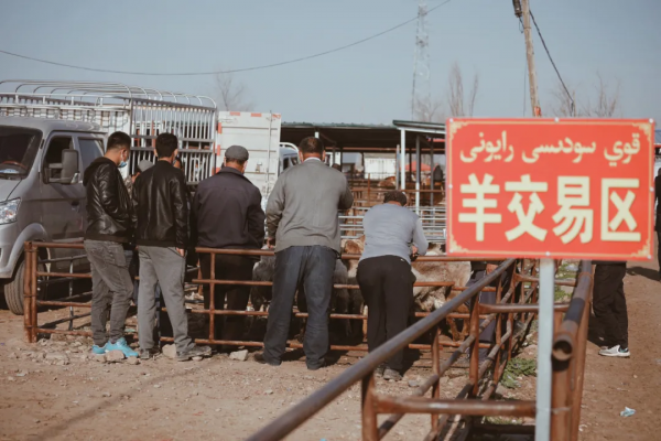 冬天新疆的美，被忽略了這麼多年