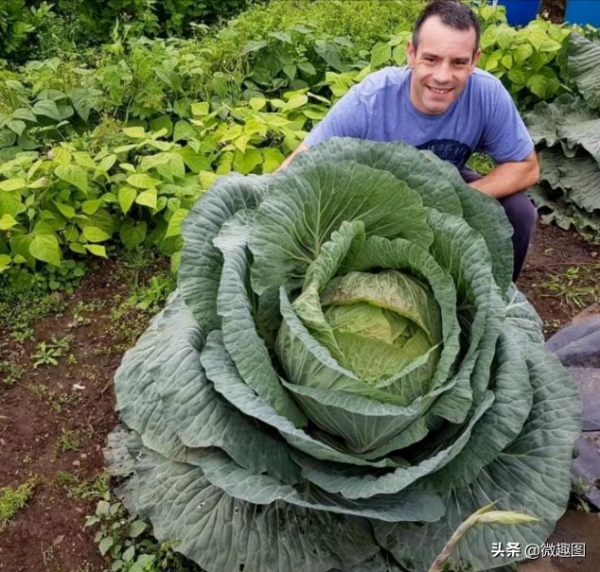 29個世界上的巨大建築，比你想象中的要大得多，您見過多少？