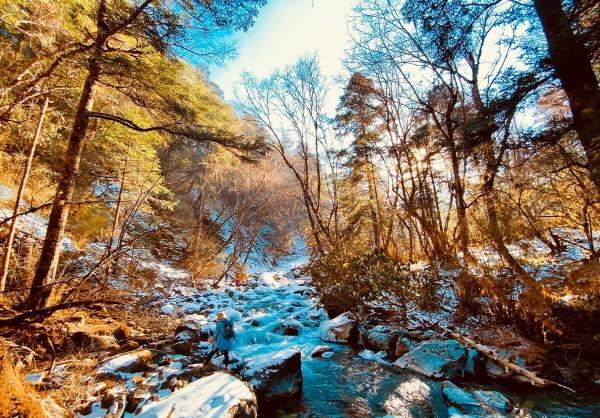 「鄧生溝」走進原始叢林·找尋秋的蹤跡 「鄧生溝」走進原始叢林·找尋秋的蹤跡