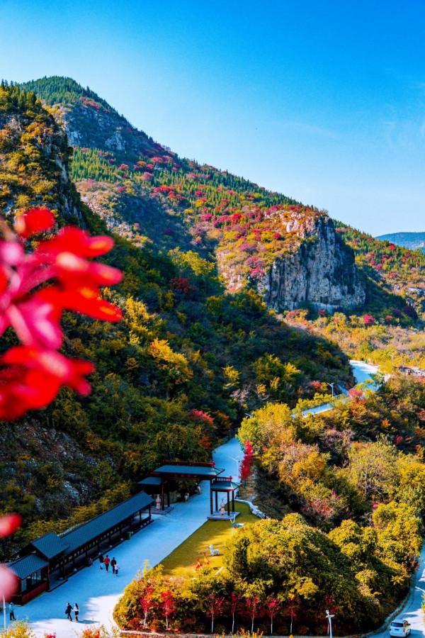 這個秋天給你點“顏色”看!青銅仙境美的正當時 這個秋天給你點“顏色”看!青銅仙境美的正當時