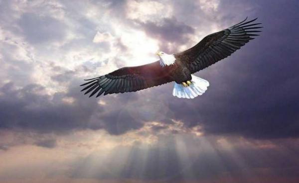 那些年李白吹過的牛,不少已經實現了,還有一些實現不了真不怪他 那些年李白吹過的牛,不少已經實現了,還有一些實現不了真不怪他