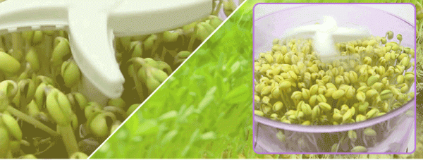 被網紅“過度吹捧”的6件家居用品,其實並不實用,花錢買教訓 被網紅“過度吹捧”的6件家居用品,其實並不實用,花錢買教訓