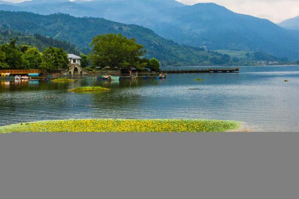 西雙版納夏天很熱嗎？其實那裡有個地方，是夏無酷暑冬無嚴寒之地