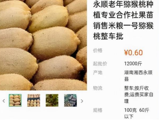 從喜劇演員到酒懵子,小沈龍再三挑戰觀眾底線,把粉絲當“韭菜” 從喜劇演員到酒懵子,小沈龍再三挑戰觀眾底線,把粉絲當“韭菜”