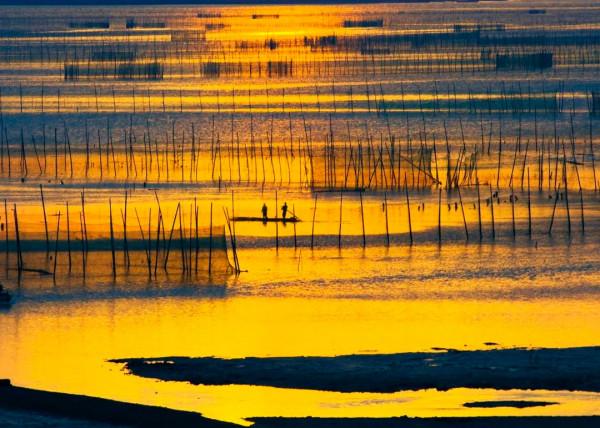 又被浙江的鄉村驚豔了！不僅在聯合國“刷屏”，還獲評12家中國美麗休閒村
