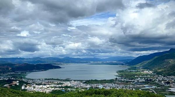 雲南大山裡邂逅&OpenCurlyDoubleQuote;野橄欖&rdquo;，味道先酸澀後回甘，最好吃的是豆梨