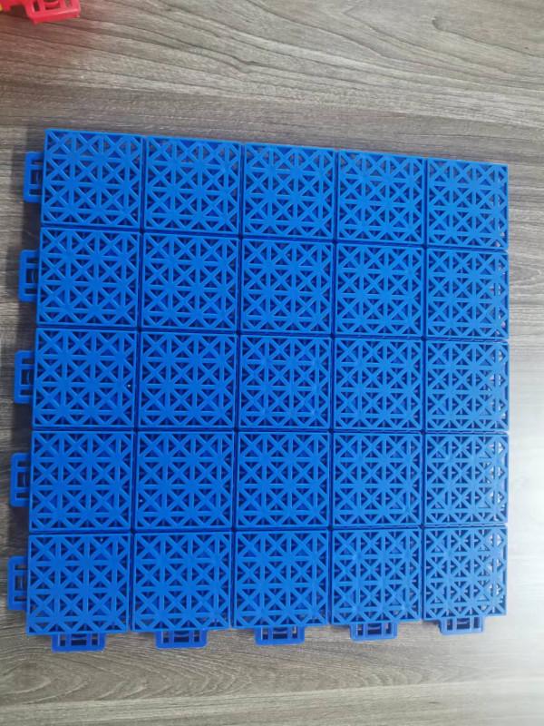 拼裝家族來新人了 拼裝家族來新人了