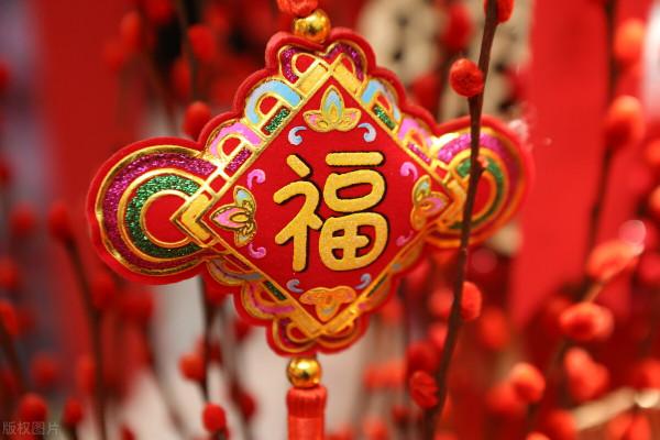 寓意超好的6種花，現在種下，過年就能有花賞