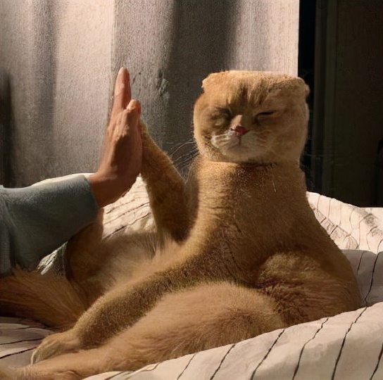 治癒系文案 建議收藏