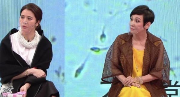 佘詩曼，胡杏兒，袁詠儀——細數那些左右逢源的女藝人