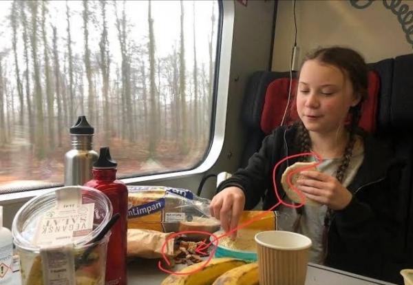 不讓吃肉也不讓用筷子，排核廢水卻裝瞎，誰在撐腰“環保女孩”？