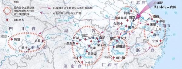 入侵我國最成功的物種？南方水域繁衍40年，有人卻誤以為它是草魚