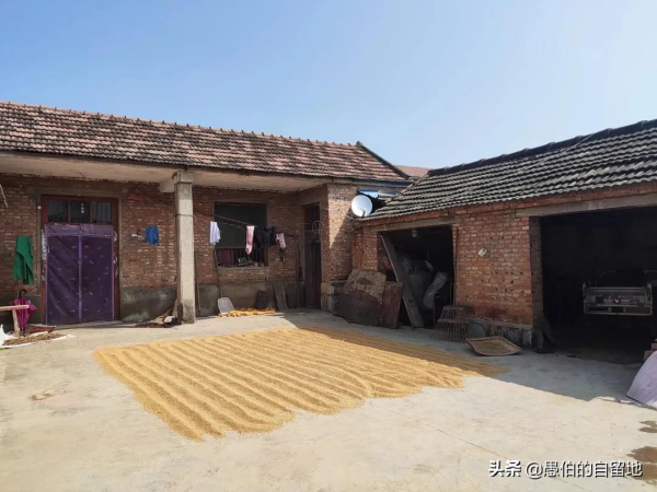 中秋節去農村的小姨家走親戚，幾道菜端上來，全桌人都不淡定了