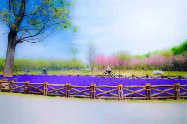 【美麗大理】雪後初霽的蒼山,有多浪漫? 【美麗大理】雪後初霽的蒼山,有多浪漫?