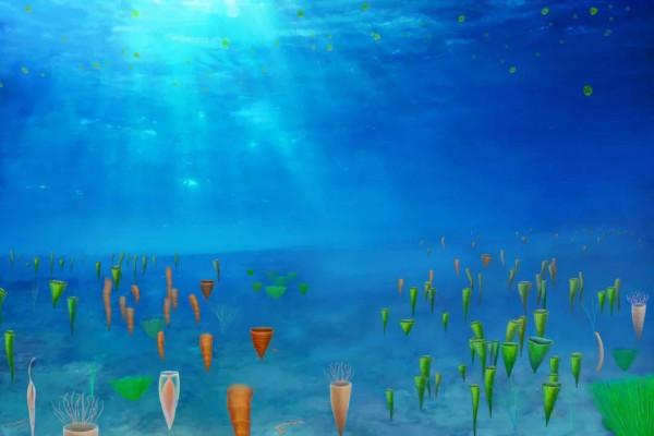 6億年前的地球為何突然變熱鬧？這項研究成果告訴你