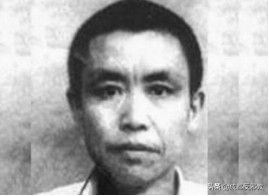 從稱帝復辟到圍捕覆滅，被公安清剿的反動“小朝廷”