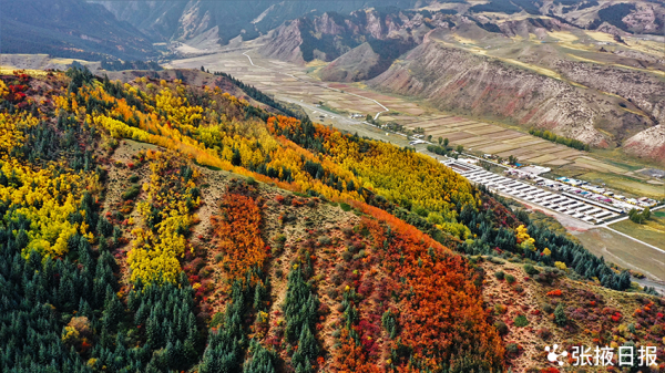 秋染祁連山，馬蹄寺景區五彩斑斕美不勝收