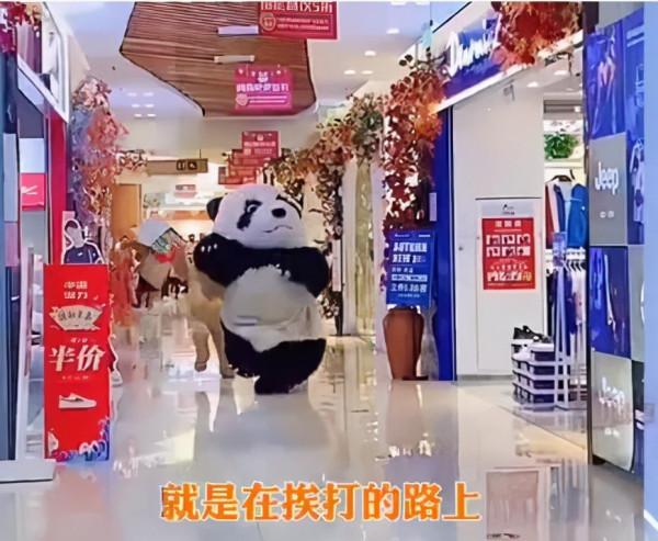 在江蘇蜜雪冰城有一隻國寶,他在網路上,太火了 在江蘇蜜雪冰城有一隻國寶,他在網路上,太火了