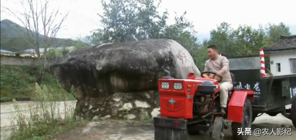 彝族小夥養香豬，巧借力趕著香豬奔富路，帶動200多戶一起致富