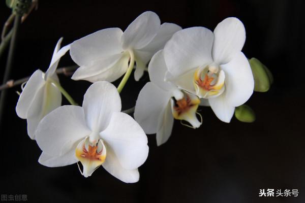 散文——《過客2》