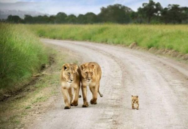 人們分享的15張照片會用可愛征服到你