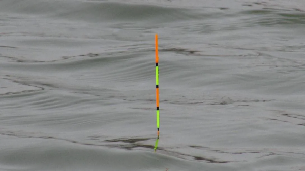 野釣的魚漂這樣調，小魚大魚吃口明顯，有口提竿就中魚