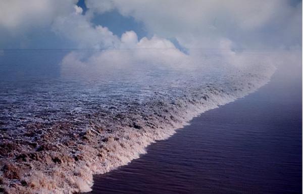 今日中秋，正是觀潮好時節，感受蘇軾筆下錢塘江的潮勢