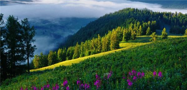 “醉”美喀納斯 “醉”美喀納斯