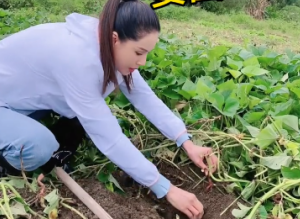 41歲謝霆鋒罕下田耕牛！手持斗笠帥氣十足，褲子沾滿泥巴太狼狽