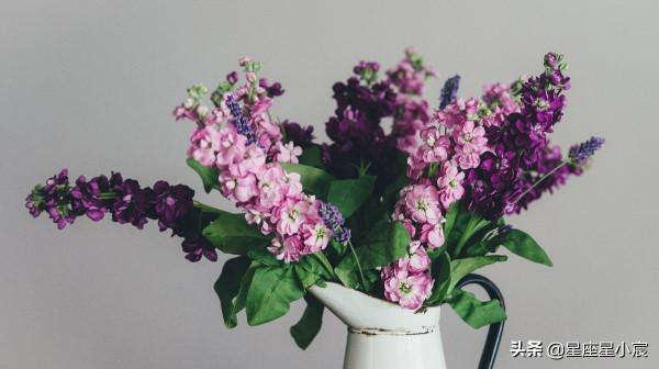 十二星座春節運勢：腳踏實地，勤奮認真，新的一年更順利