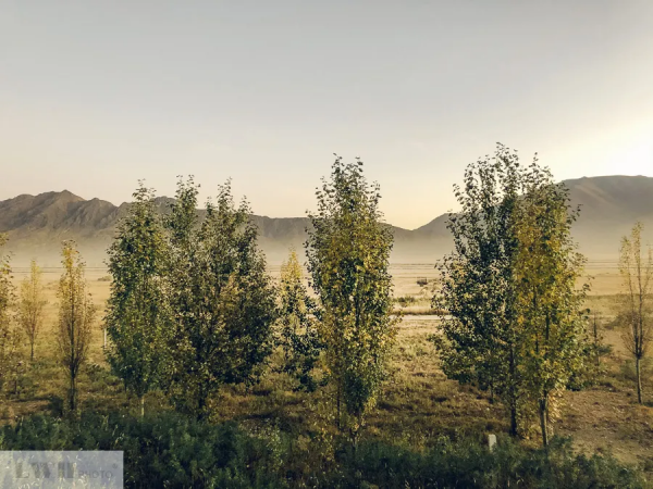 兩個人，一輛車，阿里北線無人區穿越