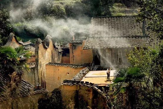 明德肆 | 物候，屬於中國人的四季