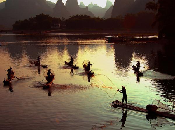 灕江“死水灣”魚蝦絕跡，鸕鷀都不願下水，究竟是什麼原因造成？