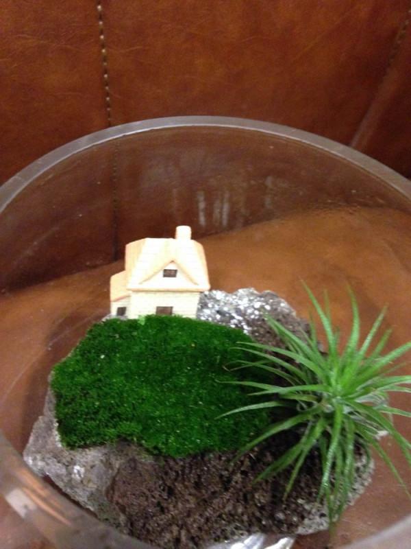 快春節了，來一波超讚木頭風園藝佳作欣賞