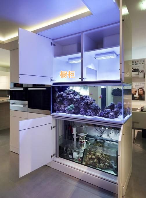 玄關掏空嵌入魚缸，裝個燈帶還能照明，客人進門都要誇個不停