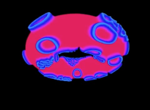 圖靈YYDS!60年前不被看好的理論再次被證,這次是原子層面的 圖靈YYDS!60年前不被看好的理論再次被證,這次是原子層面的