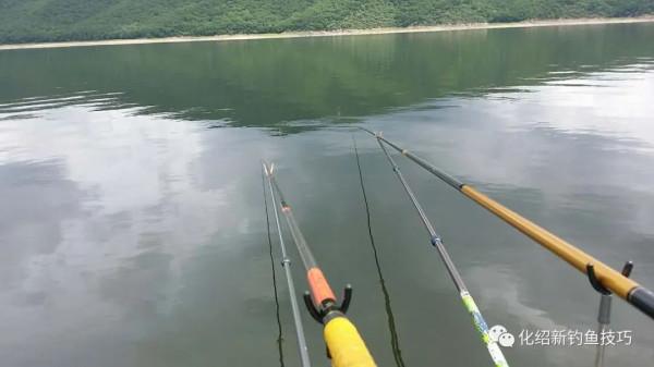 水底型別不同,針對施釣亦不同!參考經驗在這裡 水底型別不同,針對施釣亦不同!參考經驗在這裡