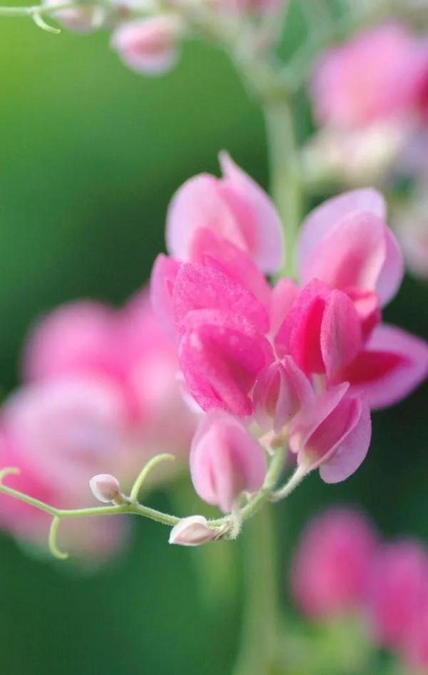 從指縫中，溜走的三天