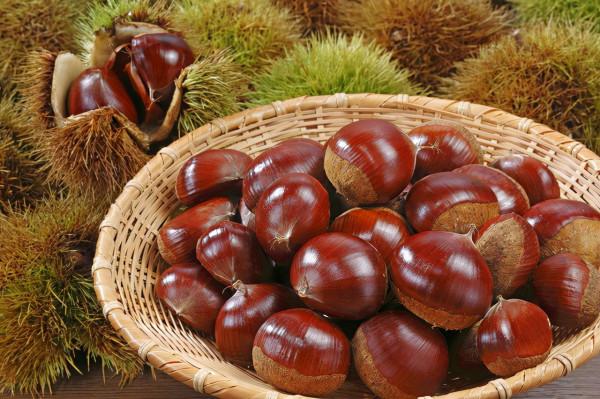 板栗滋補，生板栗怎麼去掉內皮？板栗熱量高不高？不宜多吃