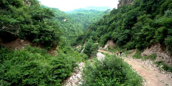 趣聞:泥石流衝翻礦車,司機爬樹求生,泥石流中救出一女子成女友 趣聞:泥石流衝翻礦車,司機爬樹求生,泥石流中救出一女子成女友