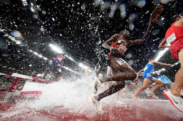 在你我最熟悉的場地，每一滴汗水都是一個故事