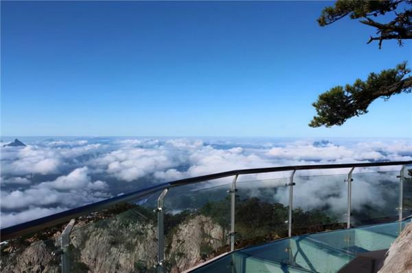 安徽一4A景區走紅，景區內古木參天、佳景深藏，被譽植物的天堂