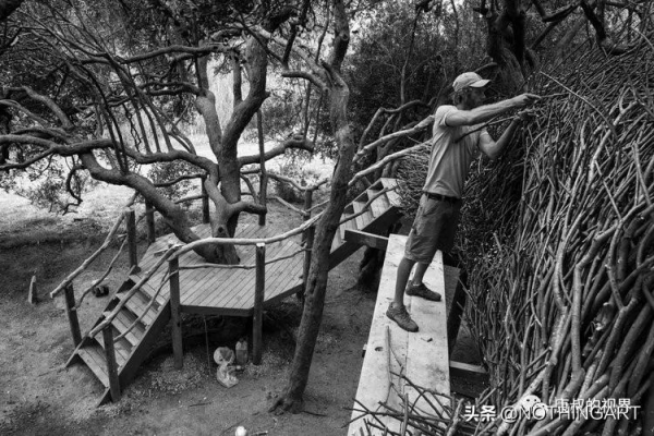 小時候最想住的“鳥窩”| Charlie Baker 來自大自然的雕塑建築 小時候最想住的“鳥窩”| Charlie Baker 來自大自然的雕塑建築