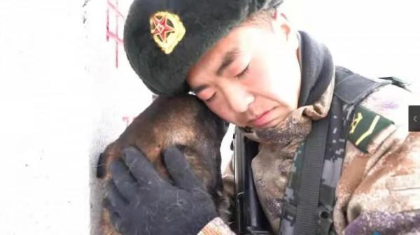 可猛可萌!邊防軍犬上班時VS下班後 可猛可萌!邊防軍犬上班時VS下班後