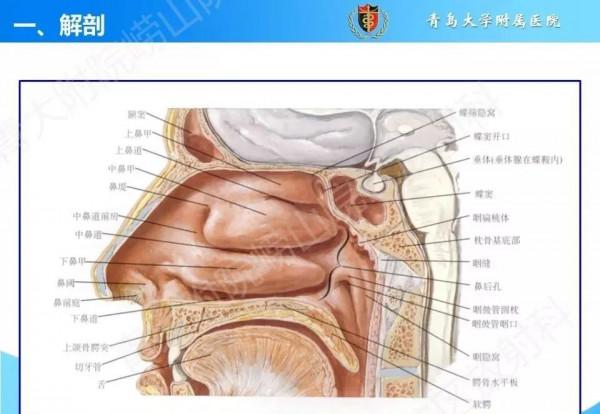 頭頸五官CT斷層解剖圖及常見病影像診斷