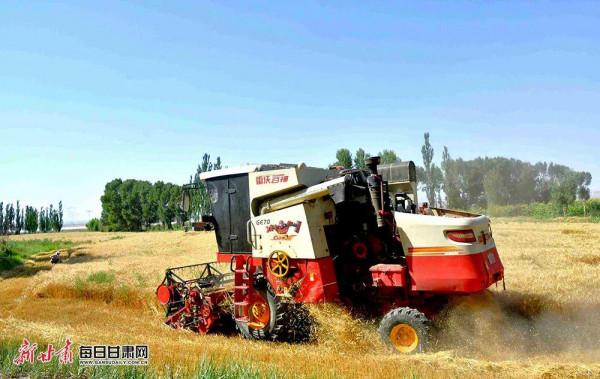 看！2500萬人的豐收圖景