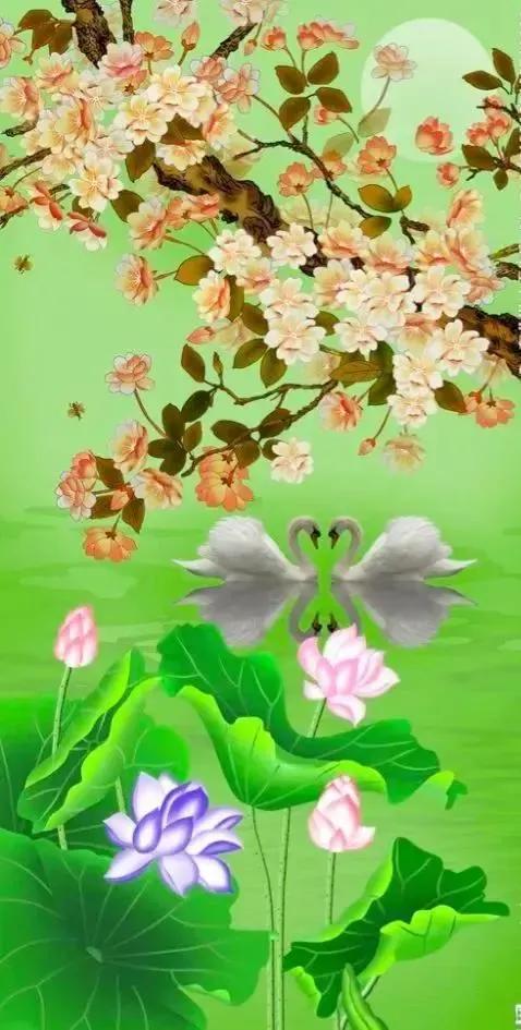 大自然的小精靈——花鳥