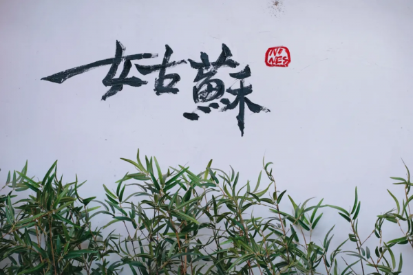 一次佛系的蘇州旅行 一次佛系的蘇州旅行