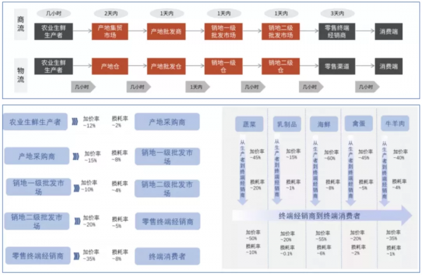 從蔬菜大棚到生鮮電商:“菜籃子工程”的25年變遷 從蔬菜大棚到生鮮電商:“菜籃子工程”的25年變遷